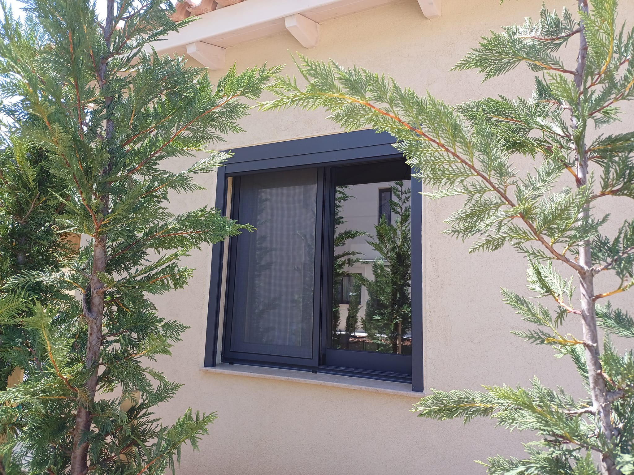 441475673 1626305071540018 8172949688721486023 n