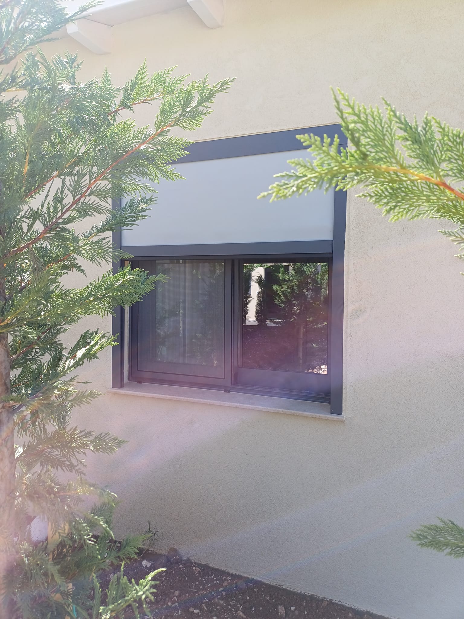 441539614 1626305568206635 6828067525007856141 n