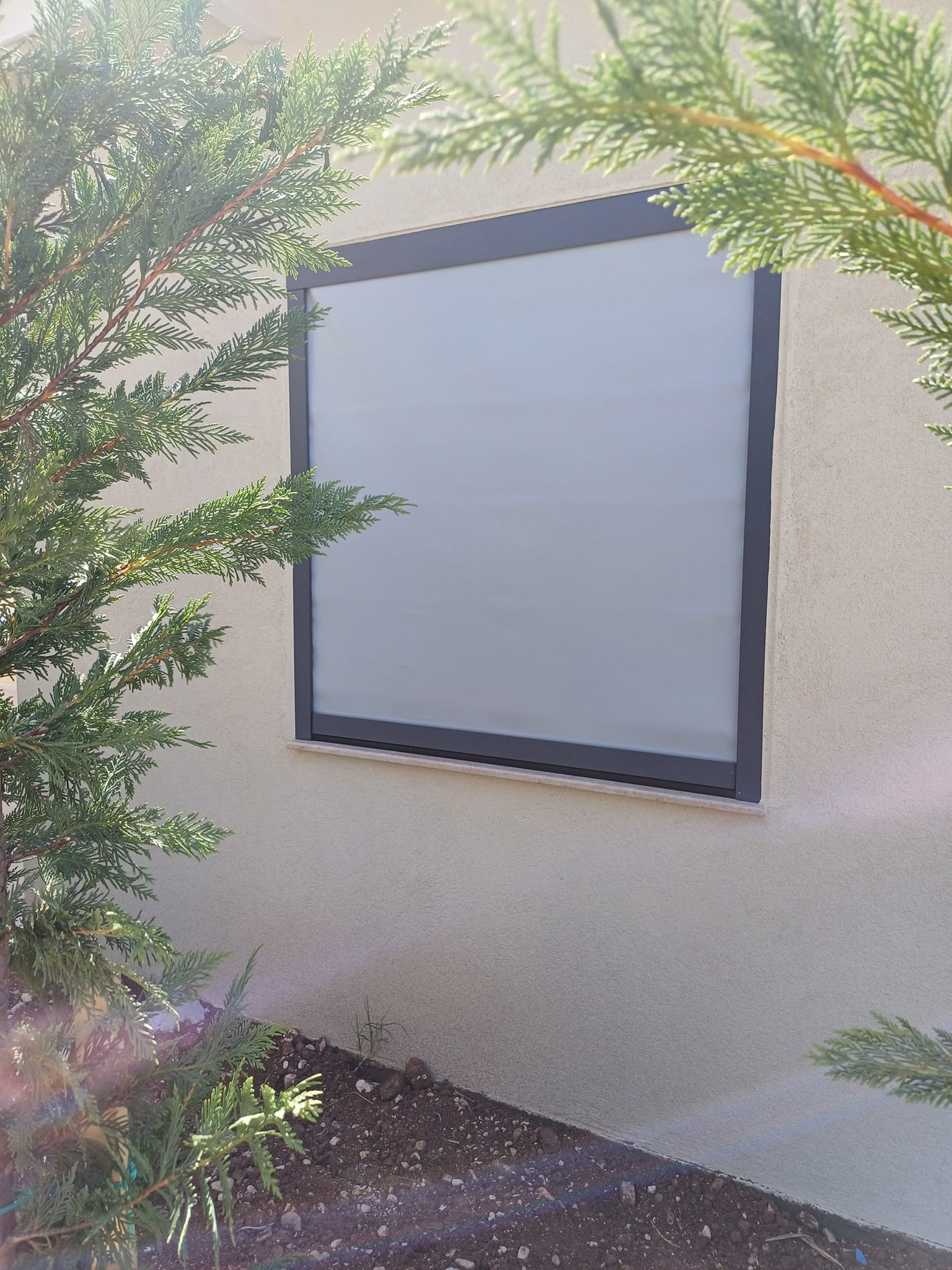 444480102 1626305601539965 3567739299278047447 n